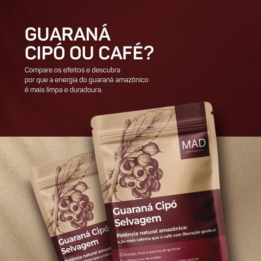 Guaraná Cipó Selvagem vs. Café: A Escolha Inteligente para um Desempenho Duradouro e Foco Natural