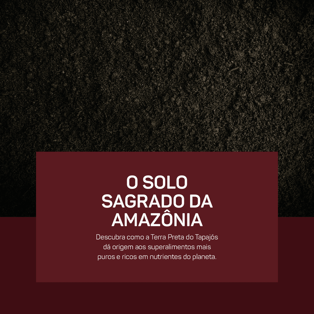 Terra Preta do Tapajós: O Segredo Amazônico que Potencializa os Superalimentos MAD4Life