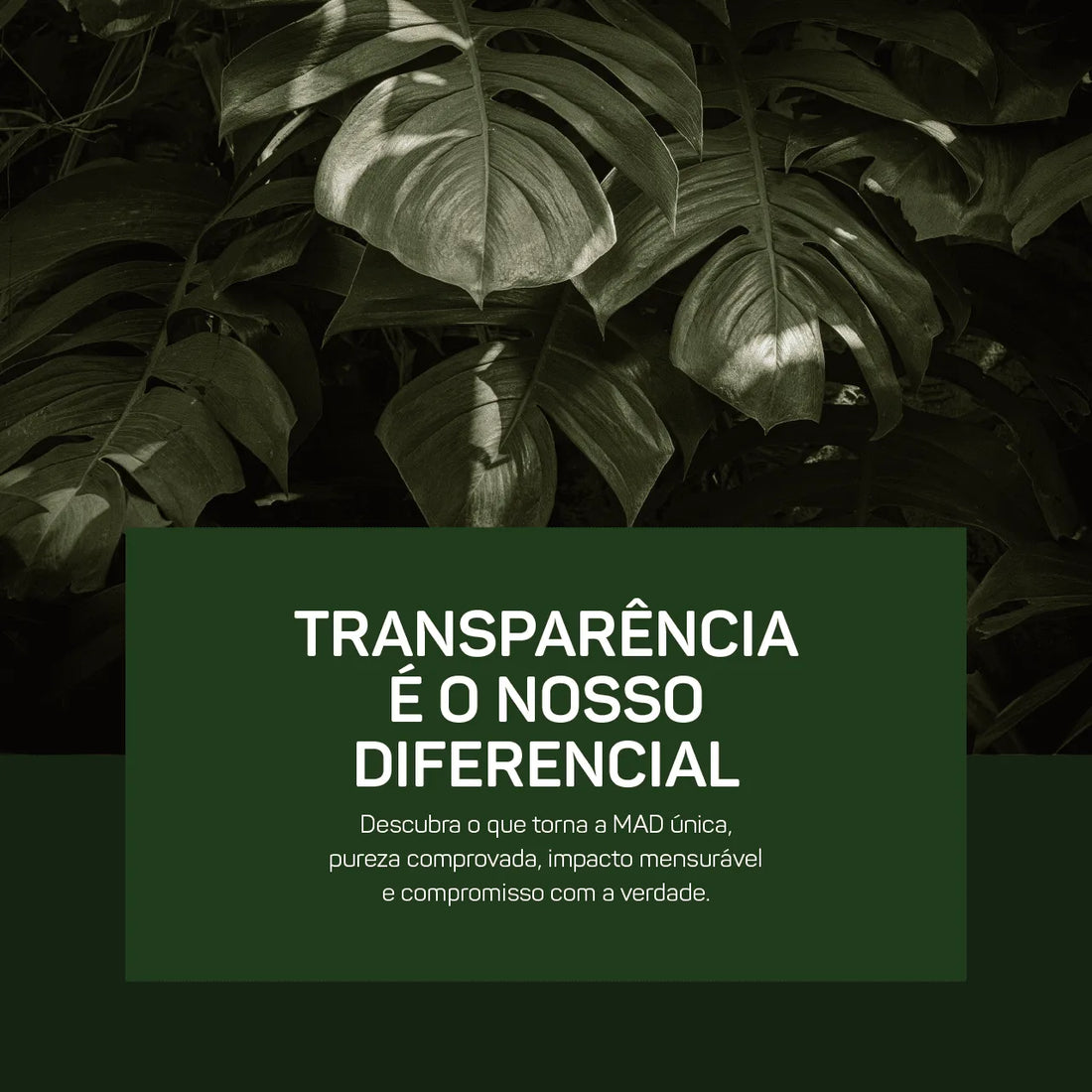 MAD vs. Greenwashing: Como Garantimos 100% de Pureza e Impacto Real