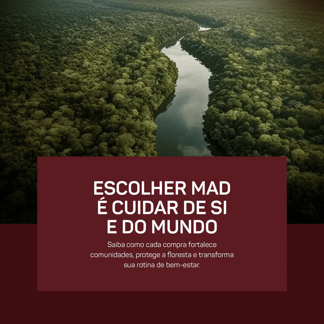 Por Que Escolher a MAD4Life: Um Investimento no Seu Bem-Estar e no Futuro da Amazônia