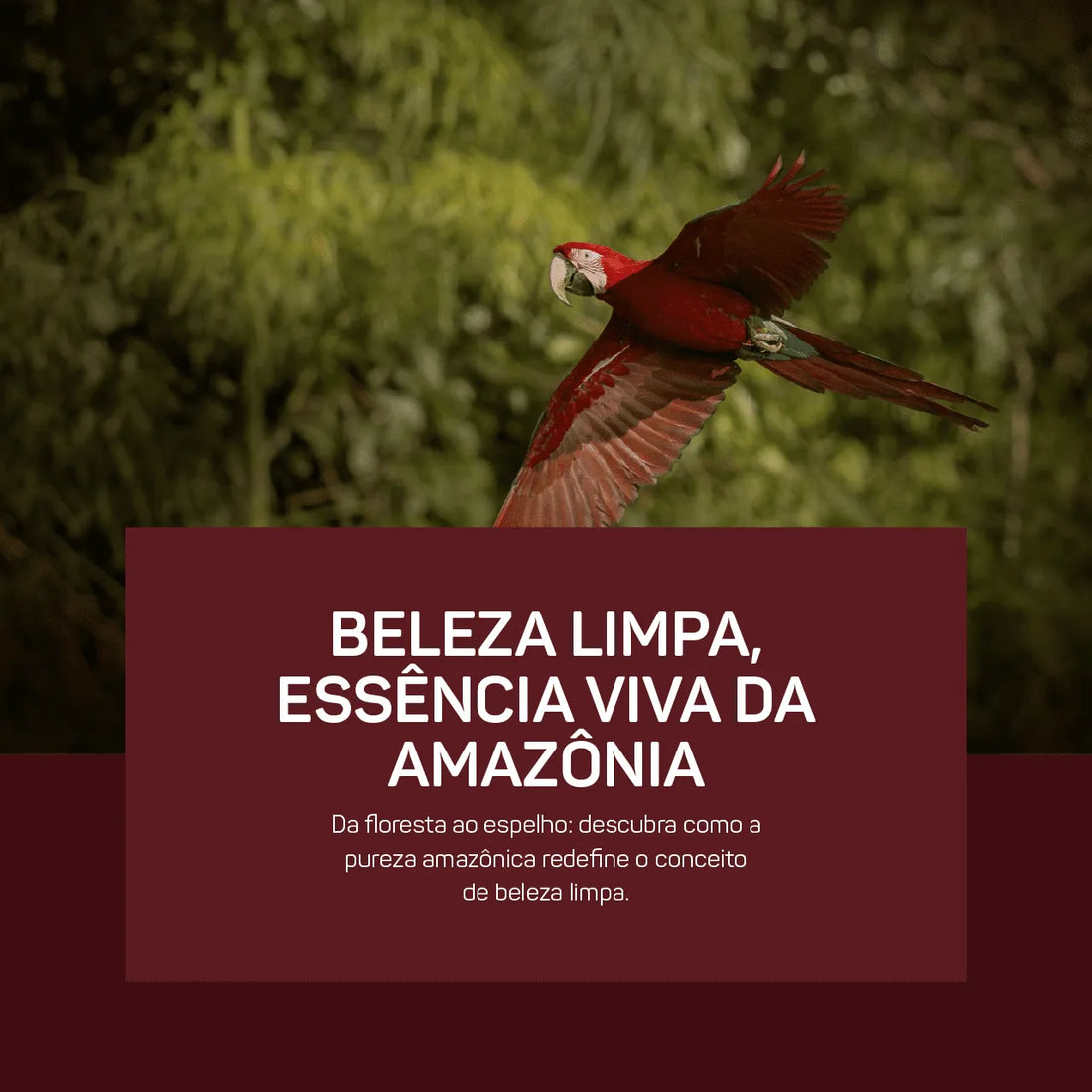 Beleza Limpa e “Forest to Consumer”: O que sua Pele Ganha com a Pureza Amazônica