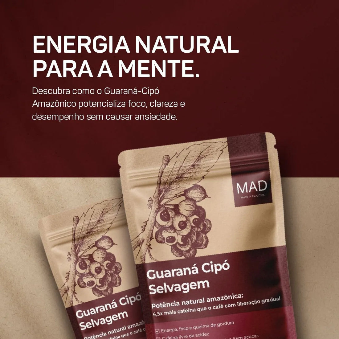 O Guaraná é um Nootrópico? Entenda Como Ele Transforma Seu Foco e Cognição de Forma Natural e Sustentável.