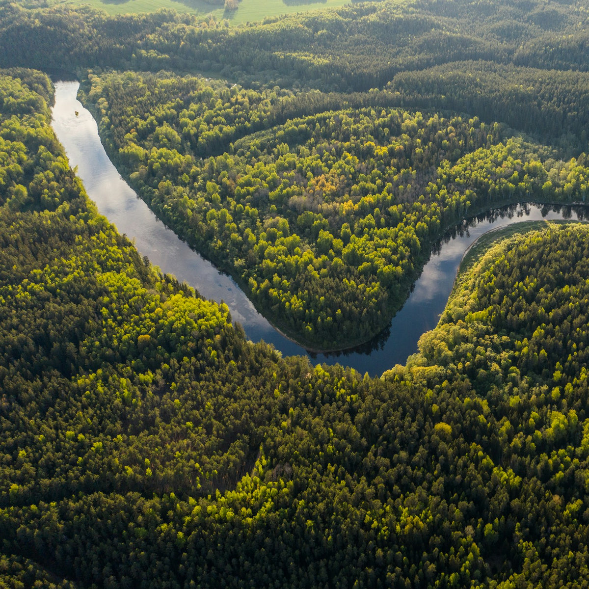 Rio cortando a floresta, visto de cima