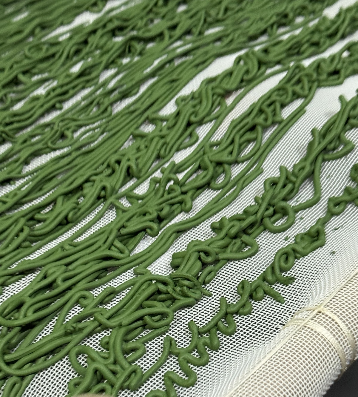 Spirulina em fios secando sobre tela